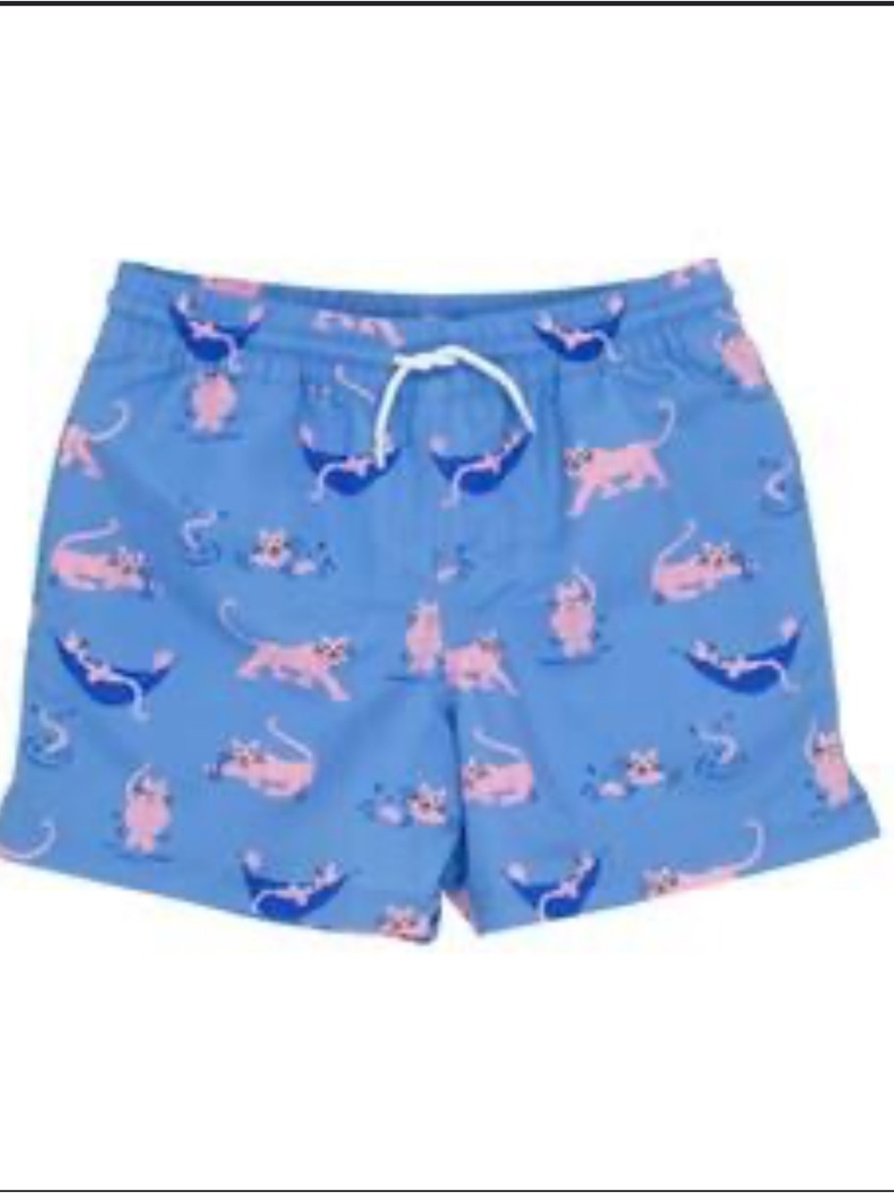 NWT The Beaufort Bonnet Company Wild Ones Swim Trunks Size 4T TBBC